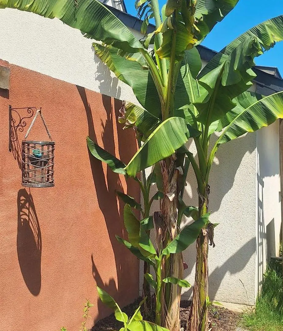 Сasa de vacaciones Villa Laillea